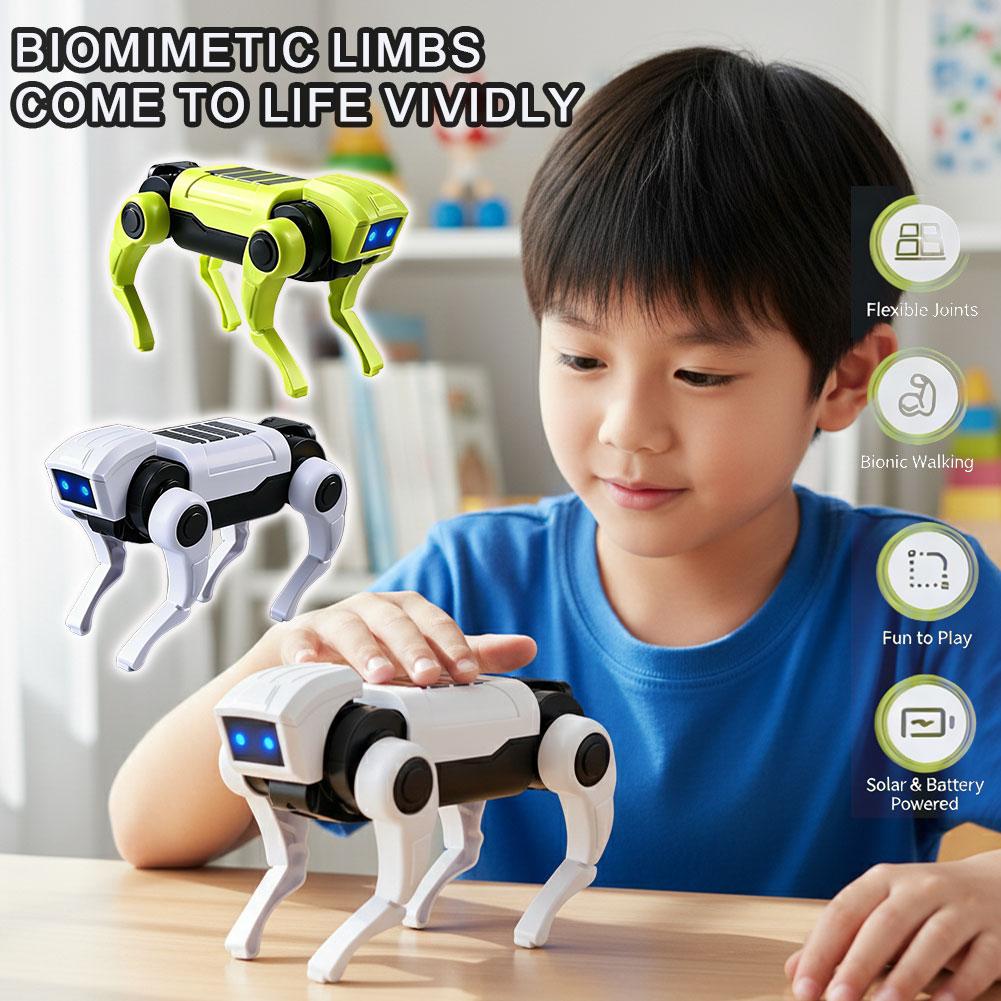قطعة أو قطعتين من لعبة روبوت ك - مراجعة Science Diy Model وسعره