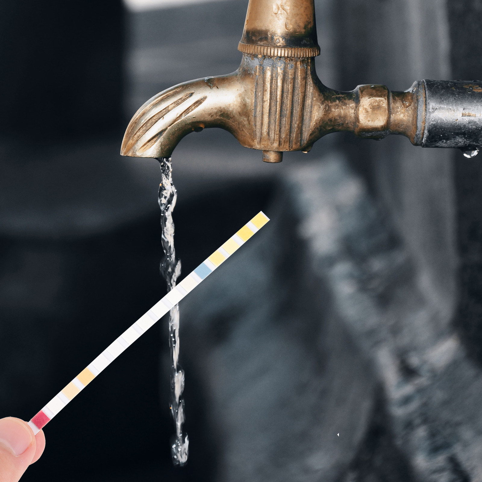 100 قطعة من شرائح اختبار الميا - مراجعة Water Testing Kit وسعره